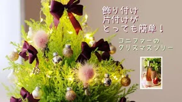 観葉植物で作るクリスマスツリー！メリットや飾り方を徹底解説 - Nippongardening